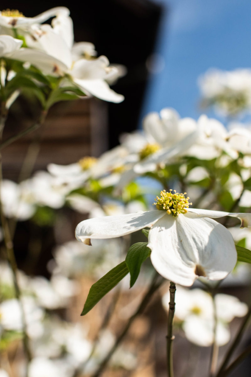 On Rest: A Reading from Charlotte Hardwick