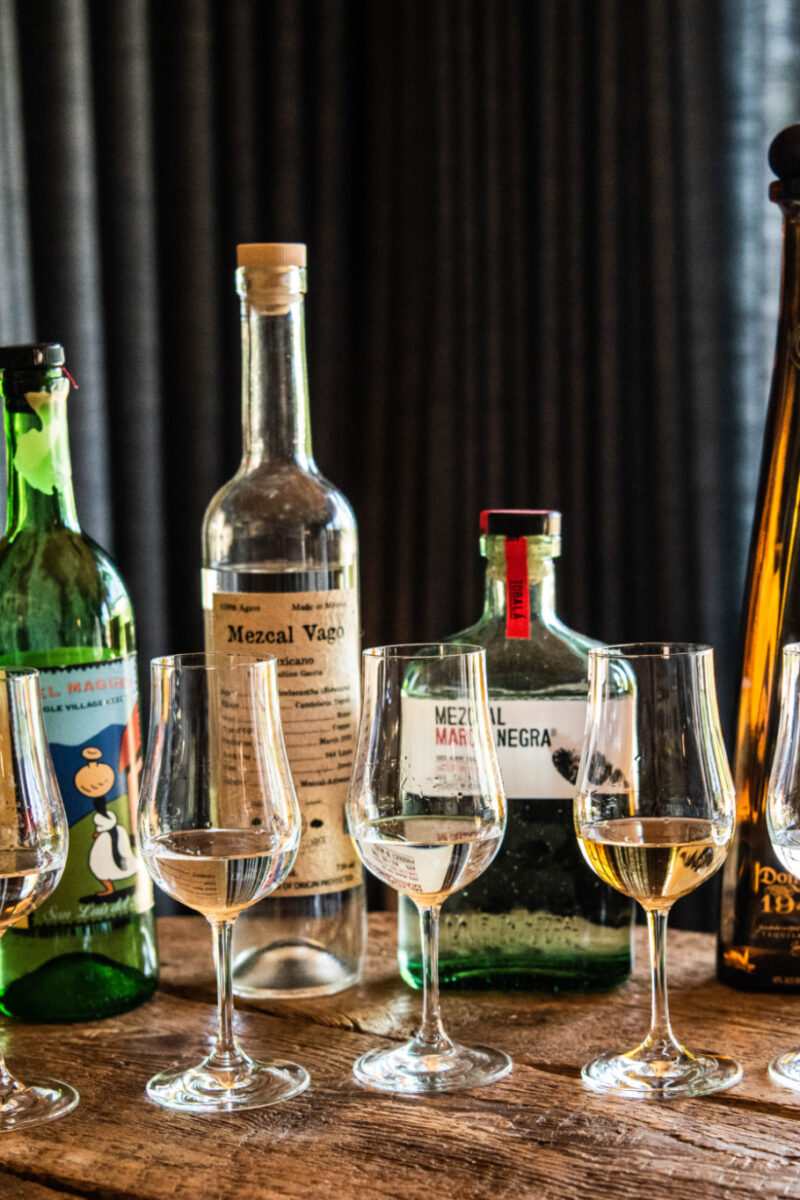 A Taste of Tequila and Mezcal