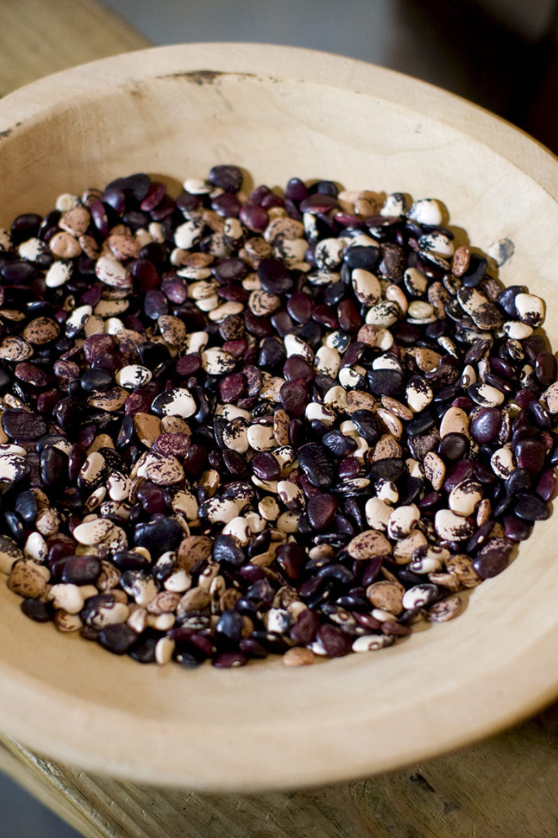 Gone to Seed with John Coykendall