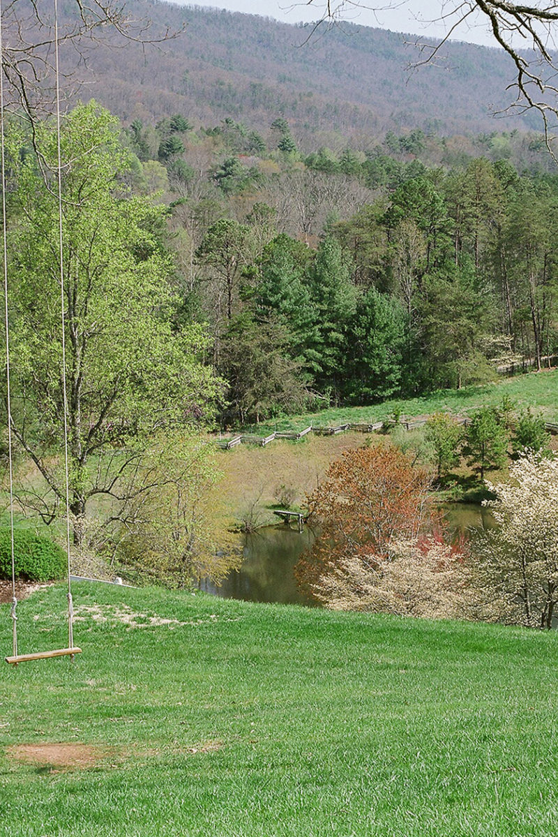 Sense of Spring