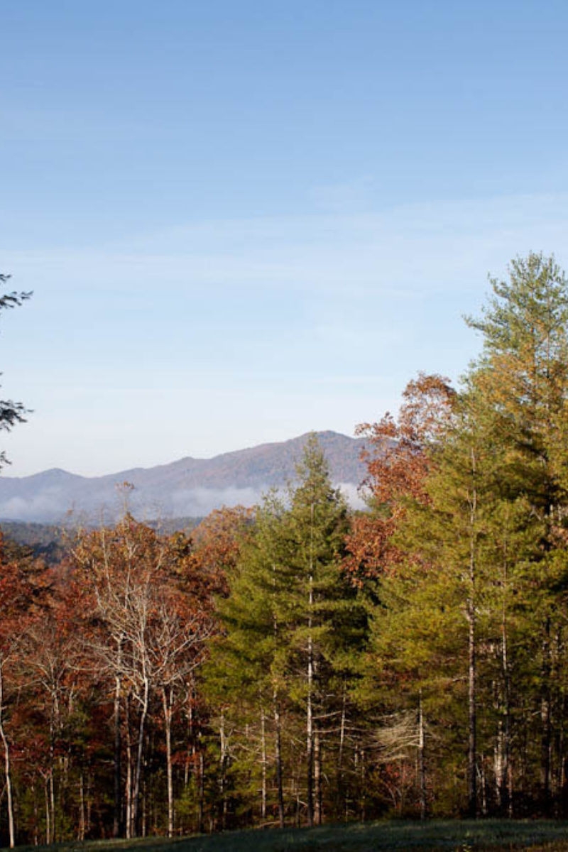 124 Year Old Mystery