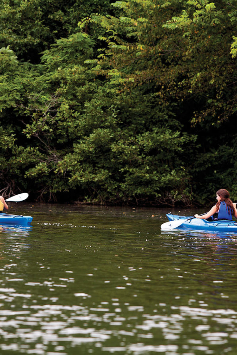 Pursuit of Adventure