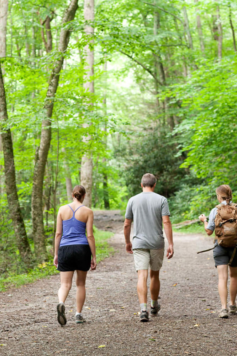 Smokies Hike 100