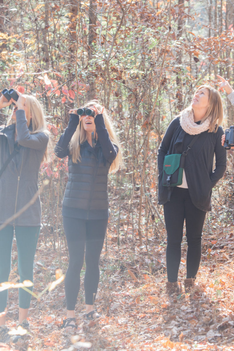 Connecting with Nature