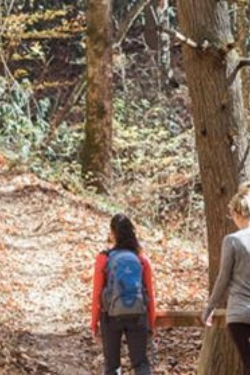 Top 5 Hikes for Winter