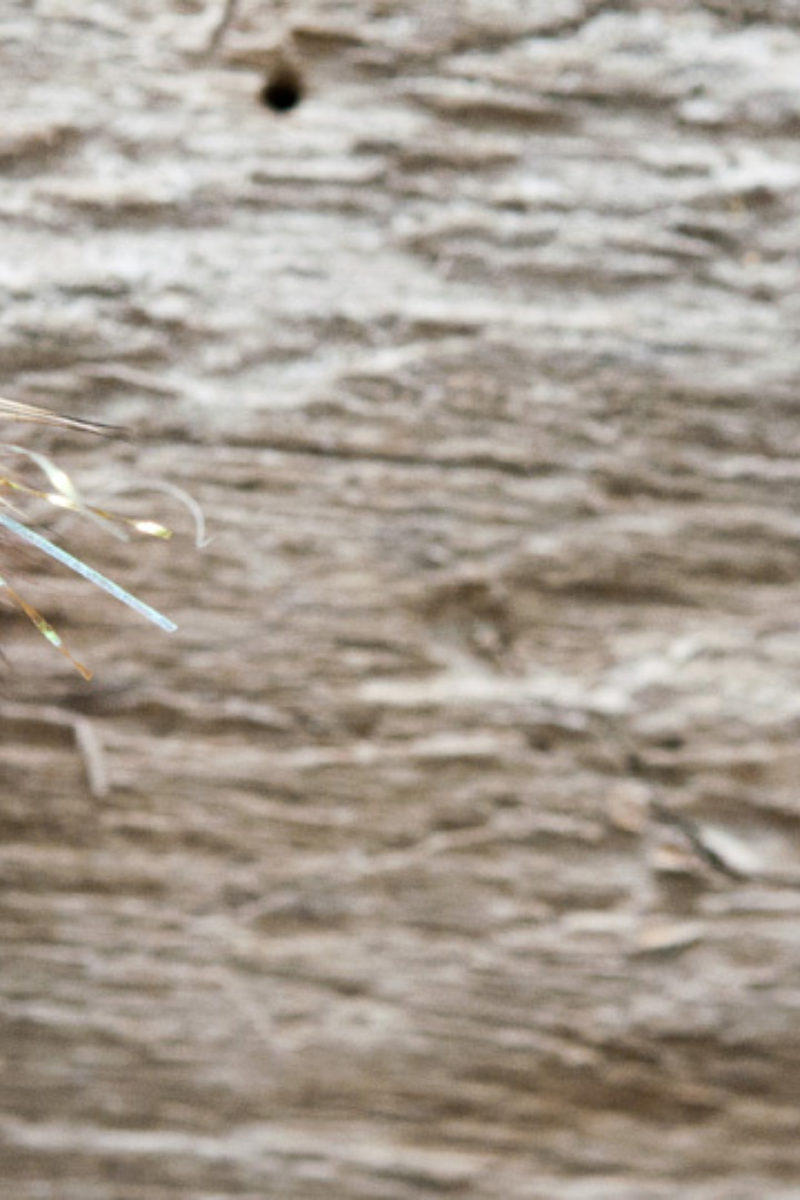 September’s Observations of Transition