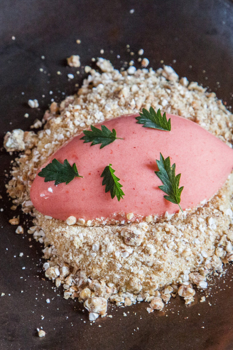 Strawberry Sorbet with Sheep's Milk Custard and Caramelized Buckwheat