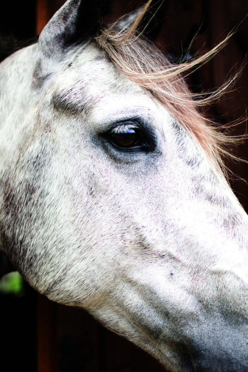 A Change of Perspective