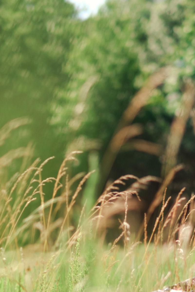 Mindfulness and Presence with Lena Franklin