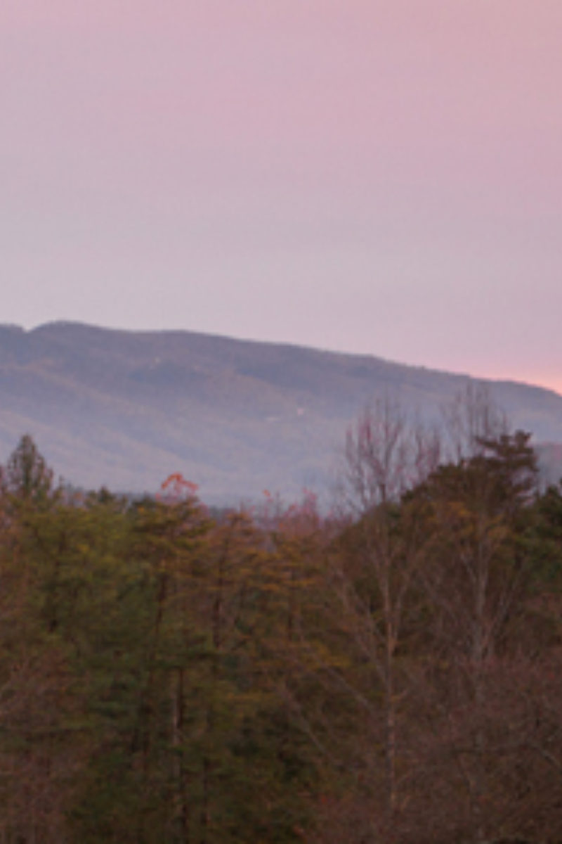 A Great Year of Dawns