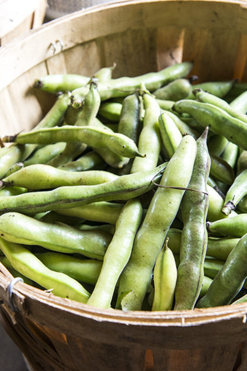 Stove Pipe Peas and the Grove Pepper