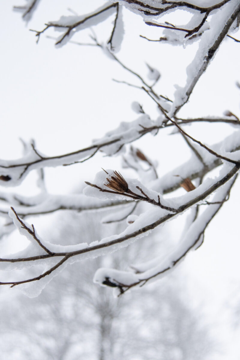 Reflect and Move Forward