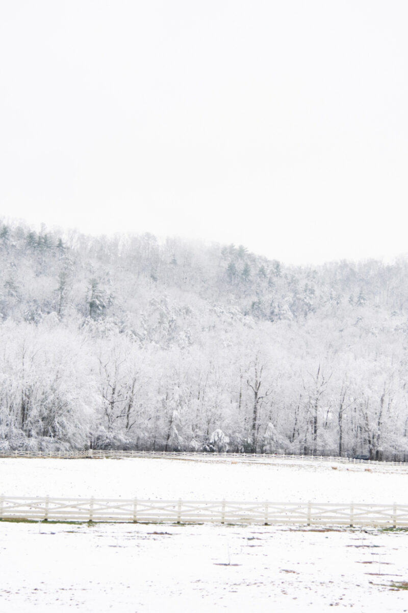 A Winter Walk