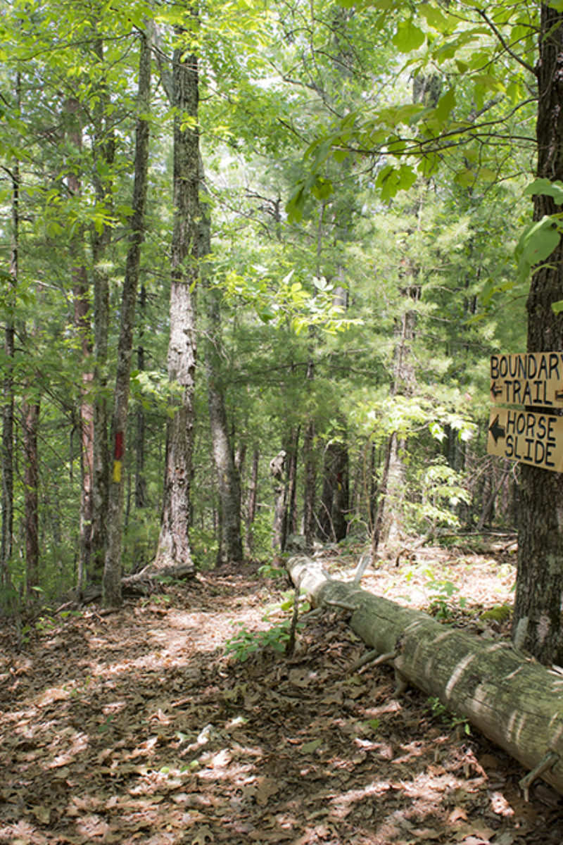Featured Hikes