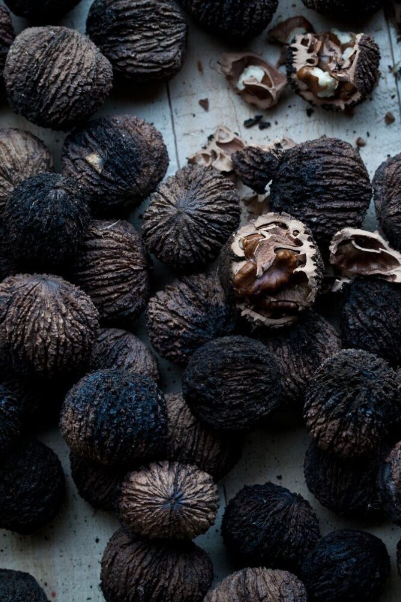 Black Walnut Trees