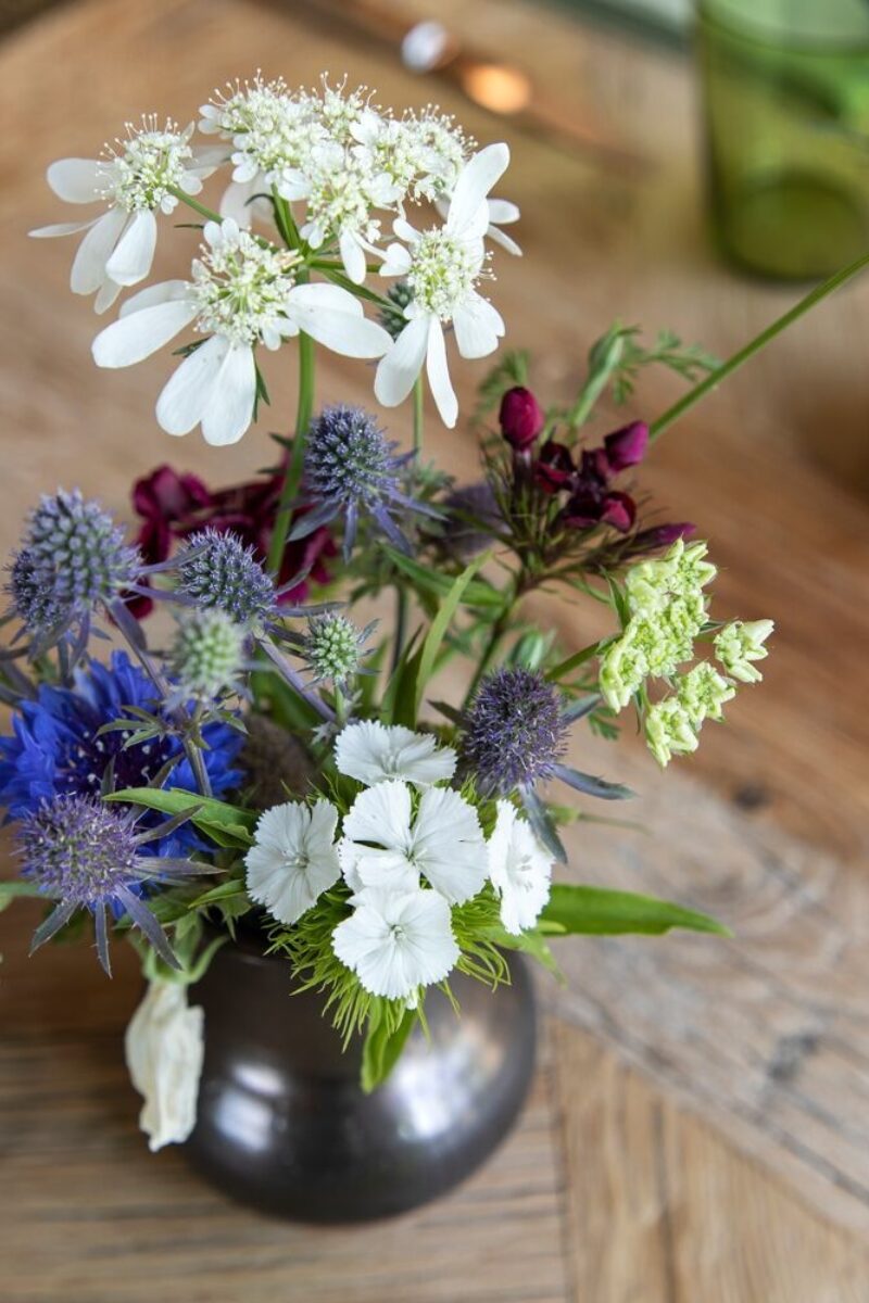 Arranged for Spring