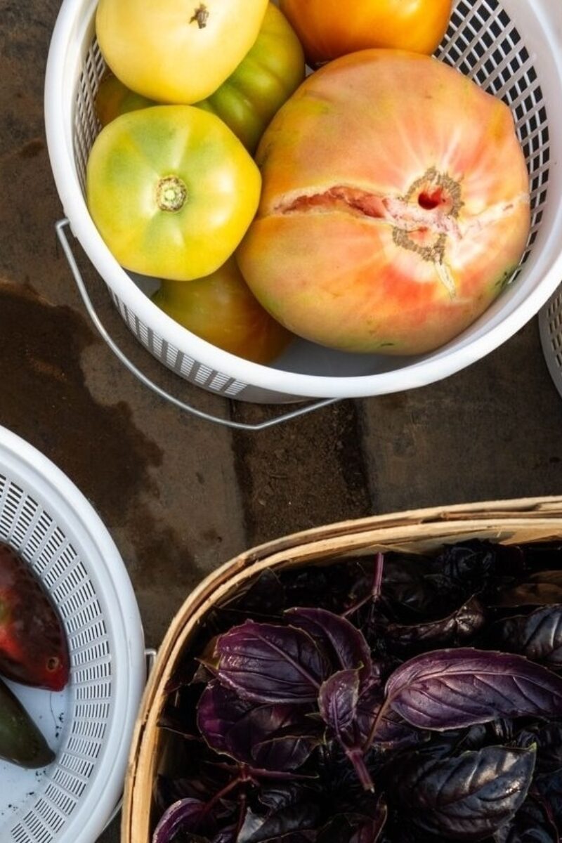 Keeping Our Agricultural History Alive