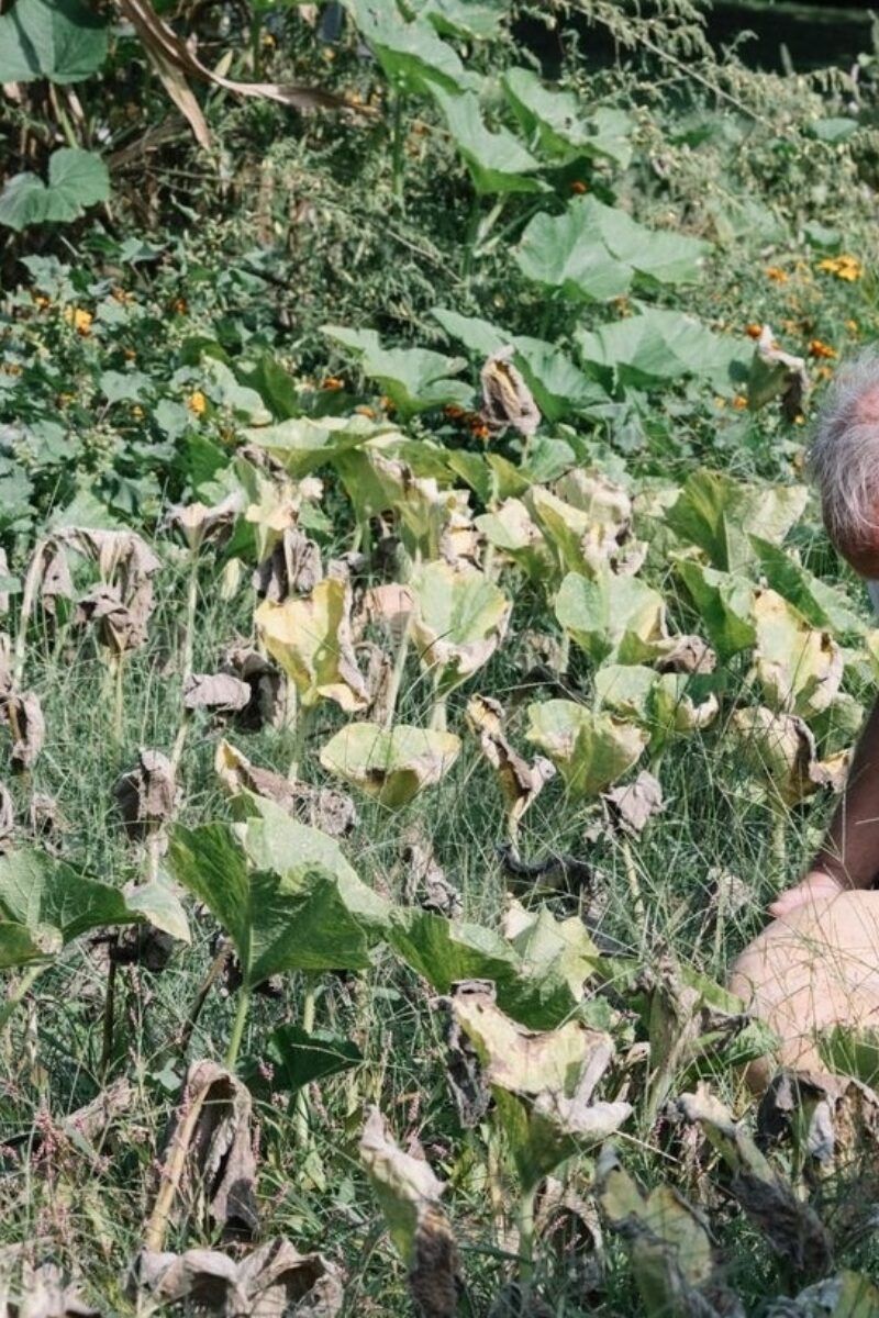 Capturing Fleeting Scenes and Moments in Time