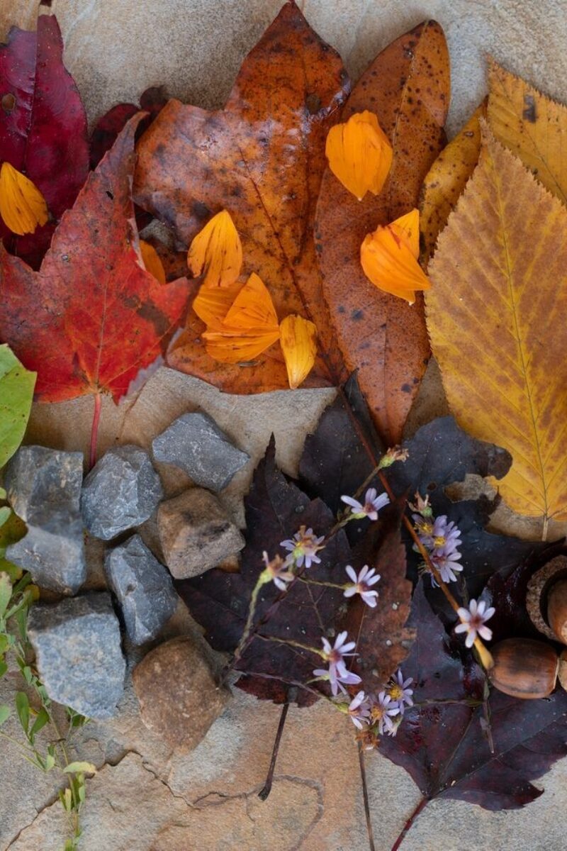 Rainbow Scavenger Hunt