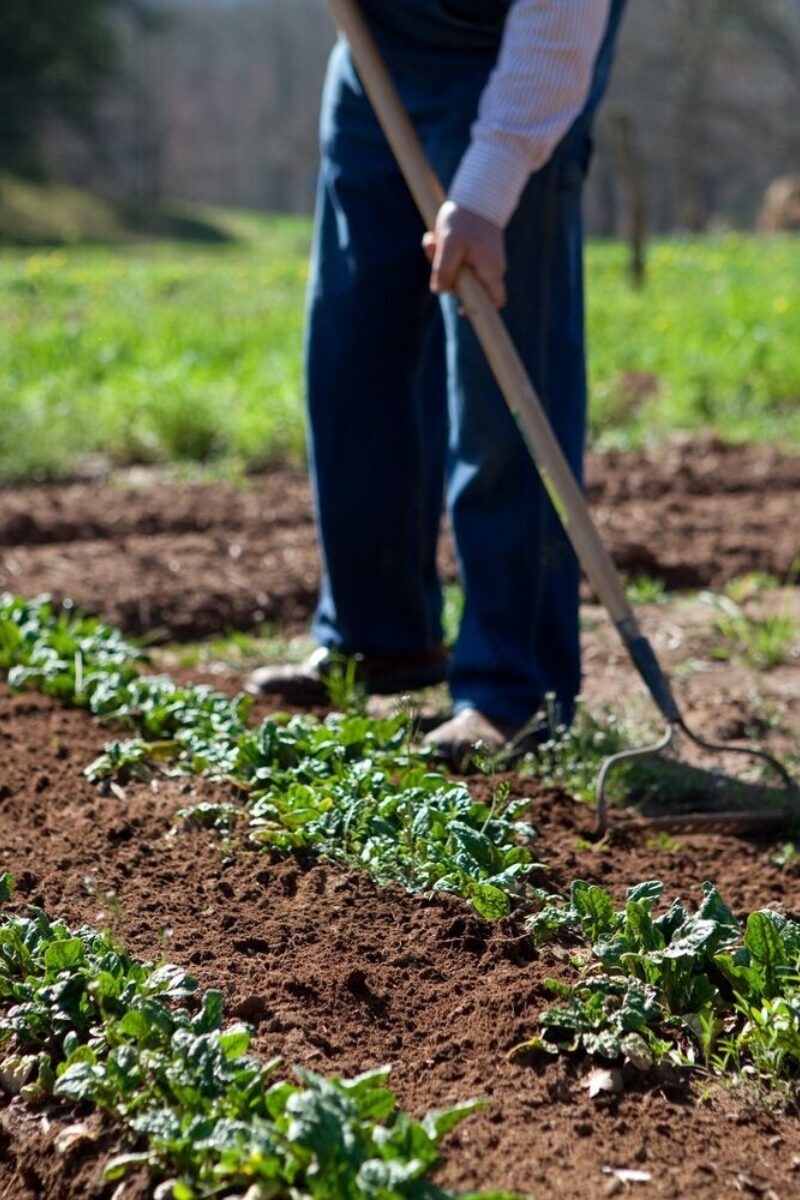 Honoring a Life Well Spent