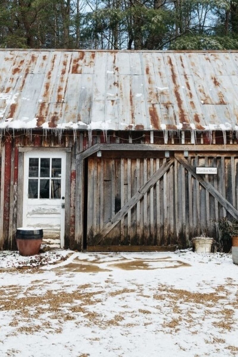 The Gardening Daydreams of the Winter Season