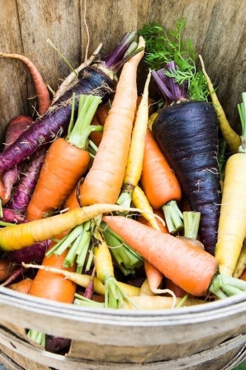 Garden-Inspired Favorites