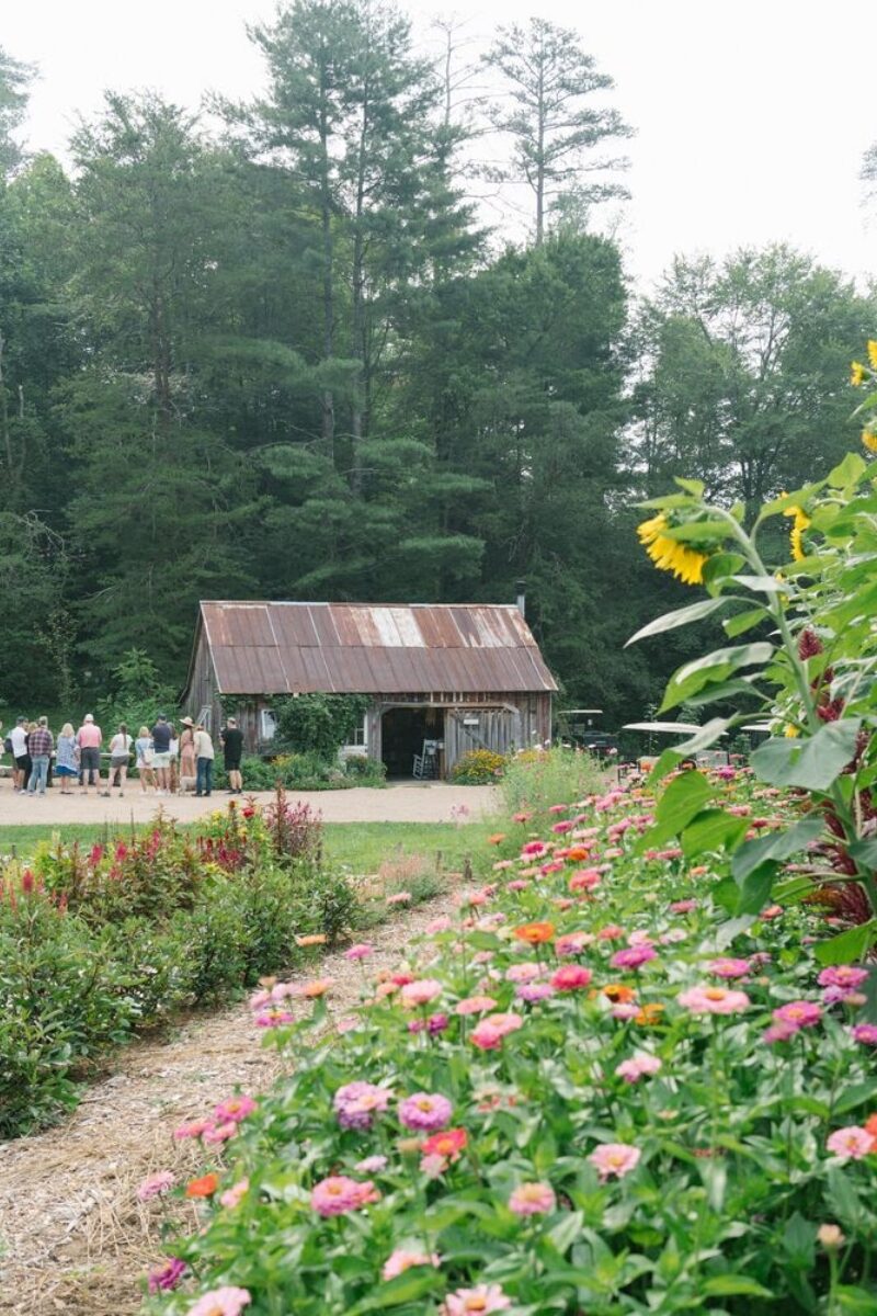 In the Know, Gardening Lingo