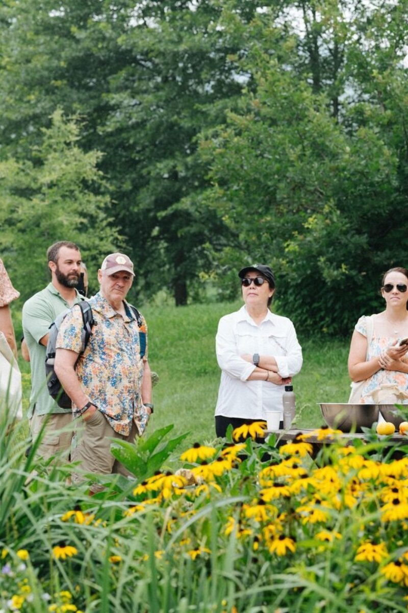 Looking Back: Connecting in the Garden