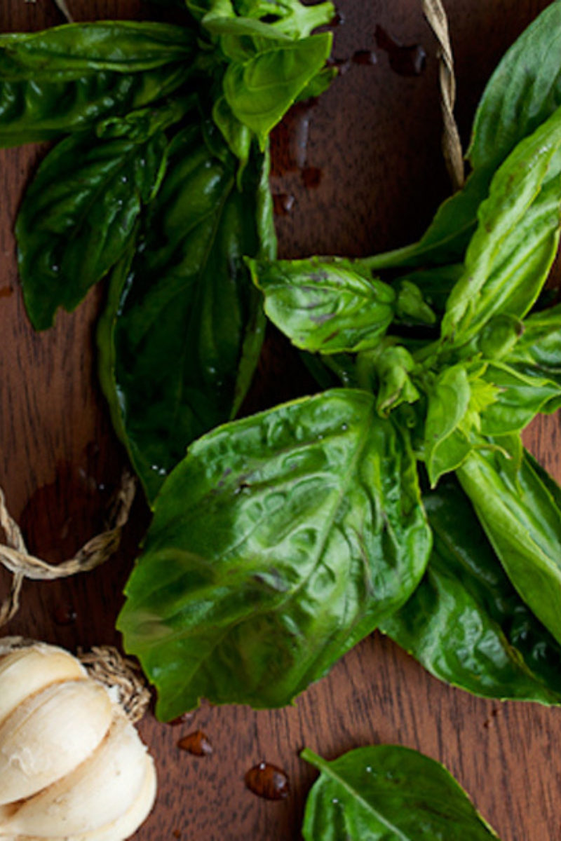 Seeds of Love and Plants From Our Garden