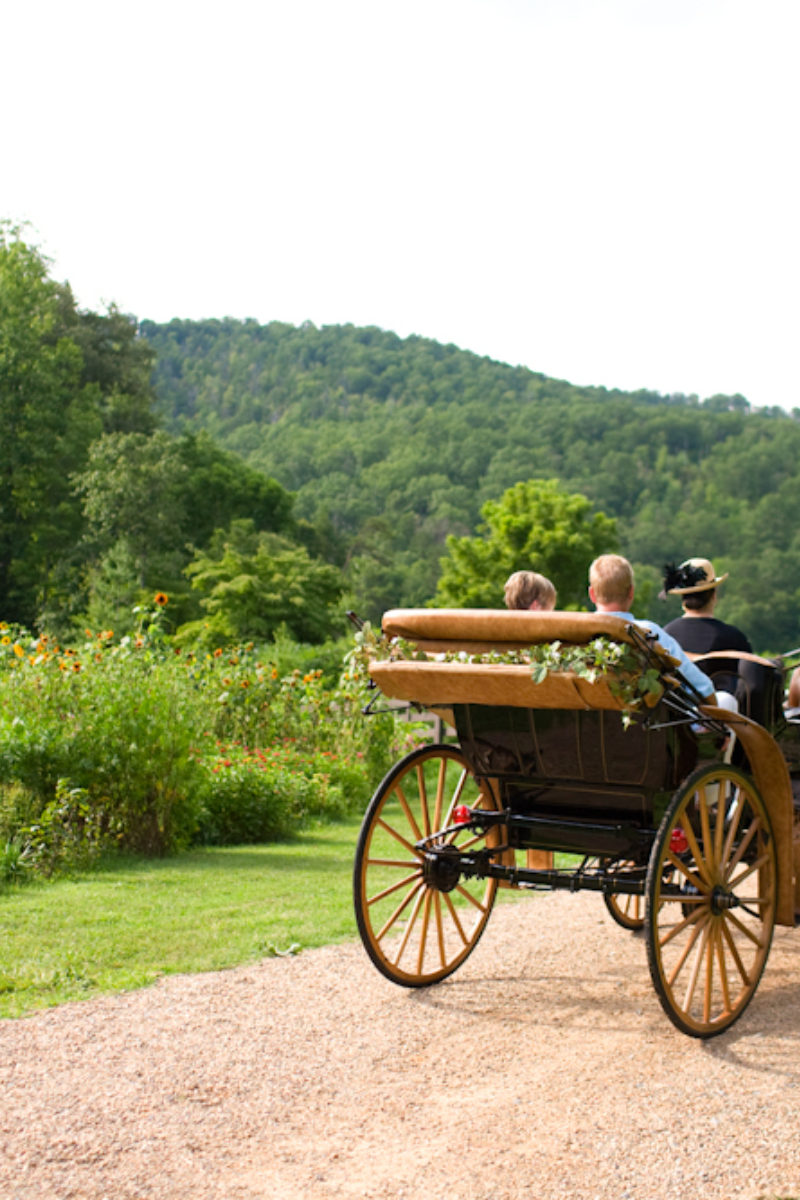 Saving the Land, Many Hoofprints at a Time