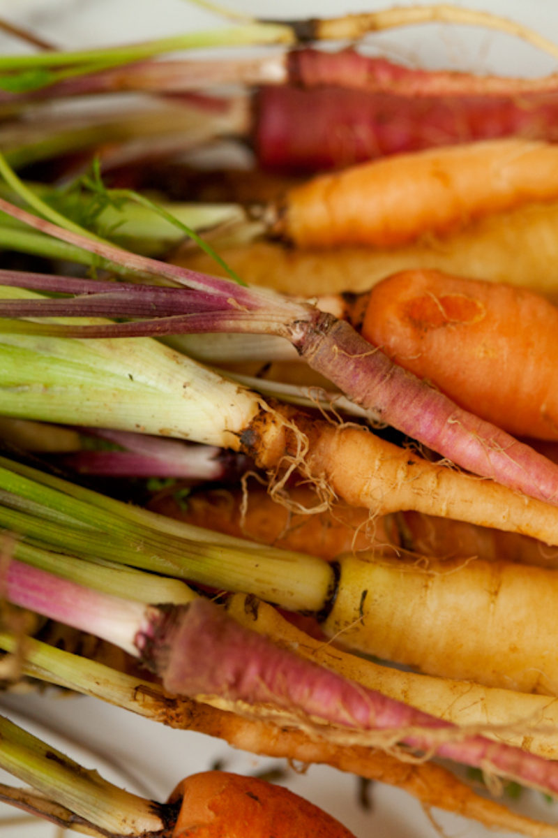 Carrots Then and Now