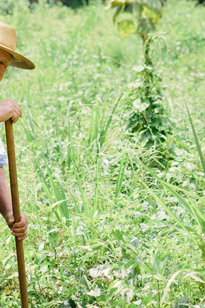 The Character of the Seasons