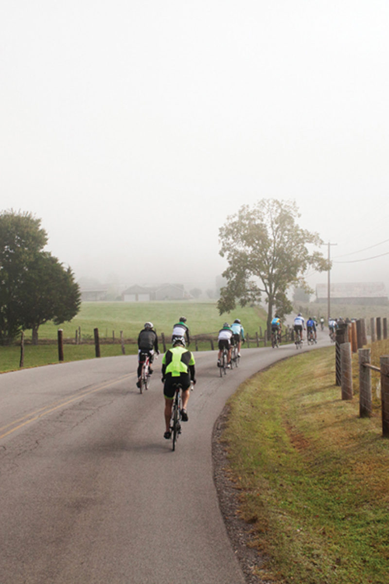 Making the Best You this Year