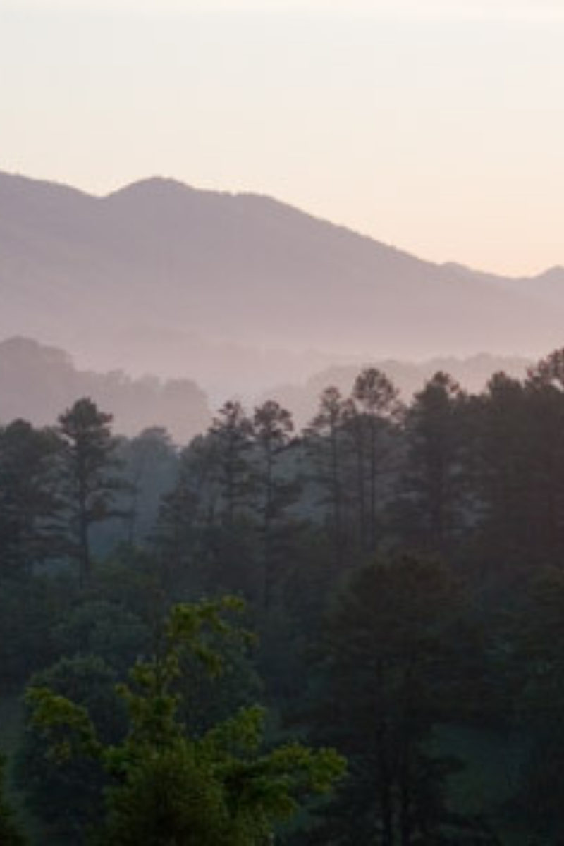 The Celebration of a New Season