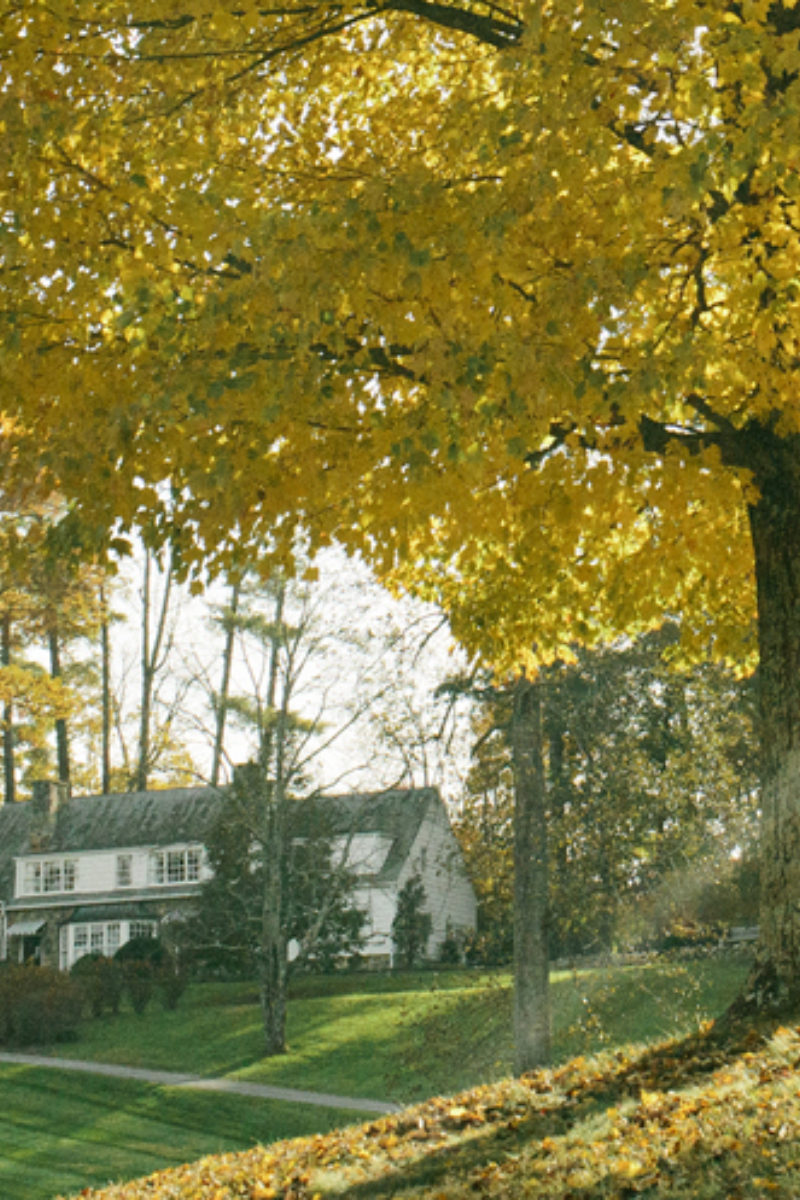 Coming Into Fruition