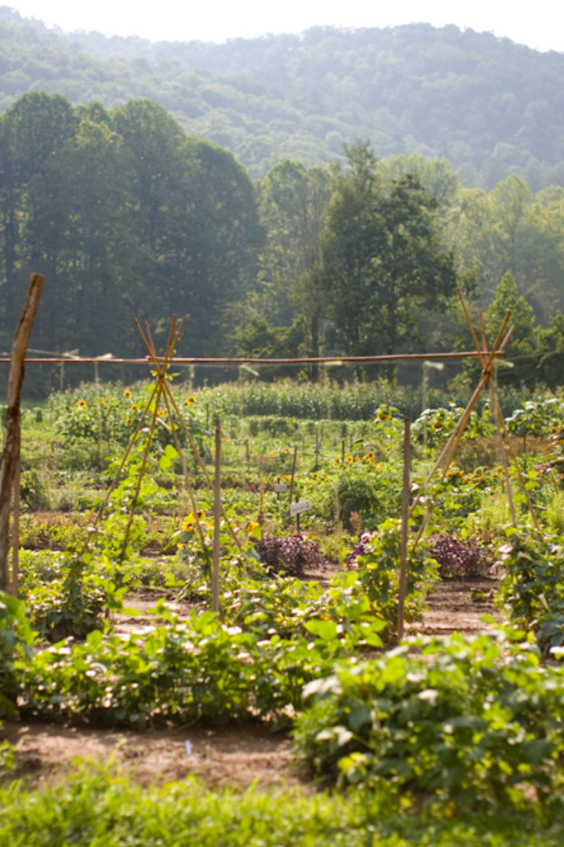 Blackberry Farm is a 2012 American Treasures Award Winner