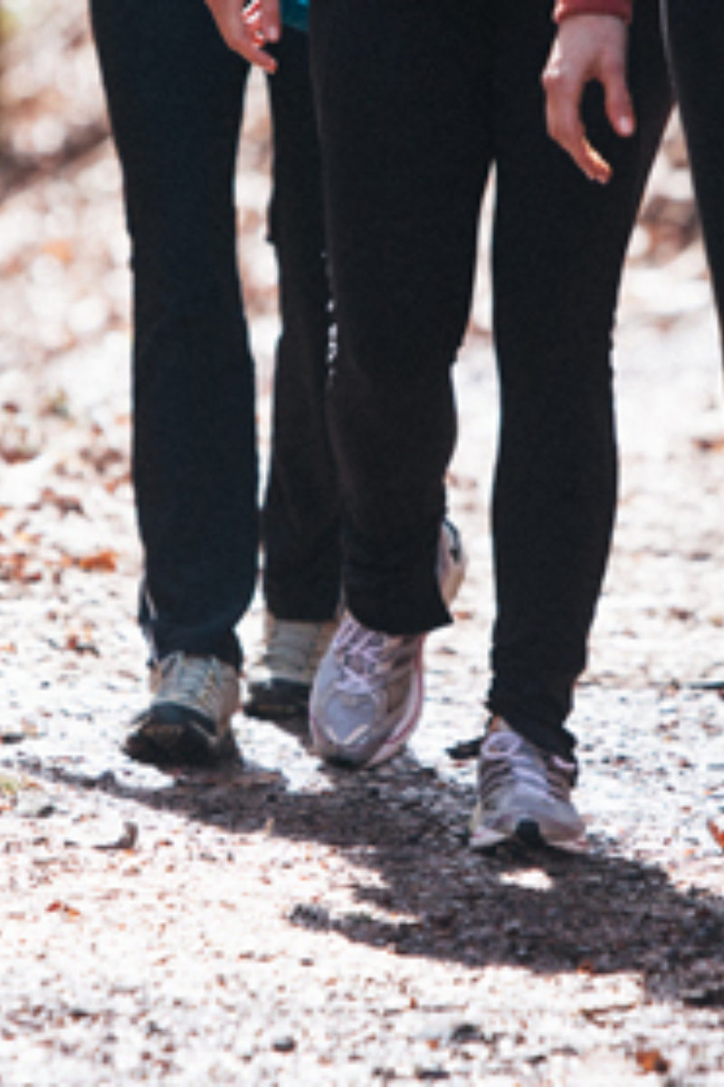 Winter Wellness Guidelines