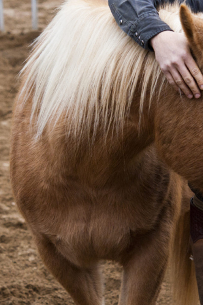 Tips for a Great Trail Riding Experience