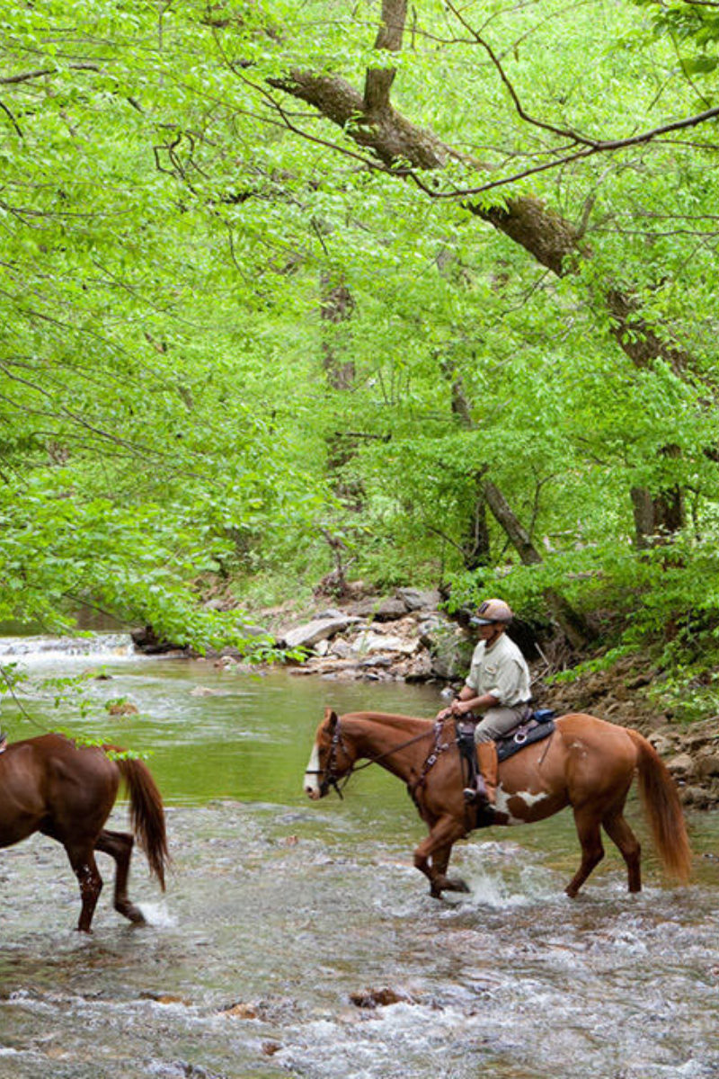 Riding Safely on the Trail