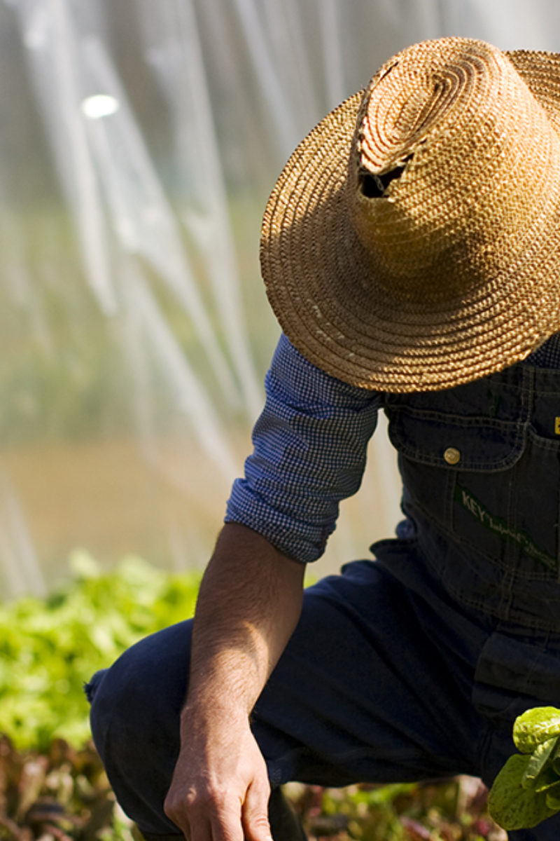 Spring 2015 Newsletter