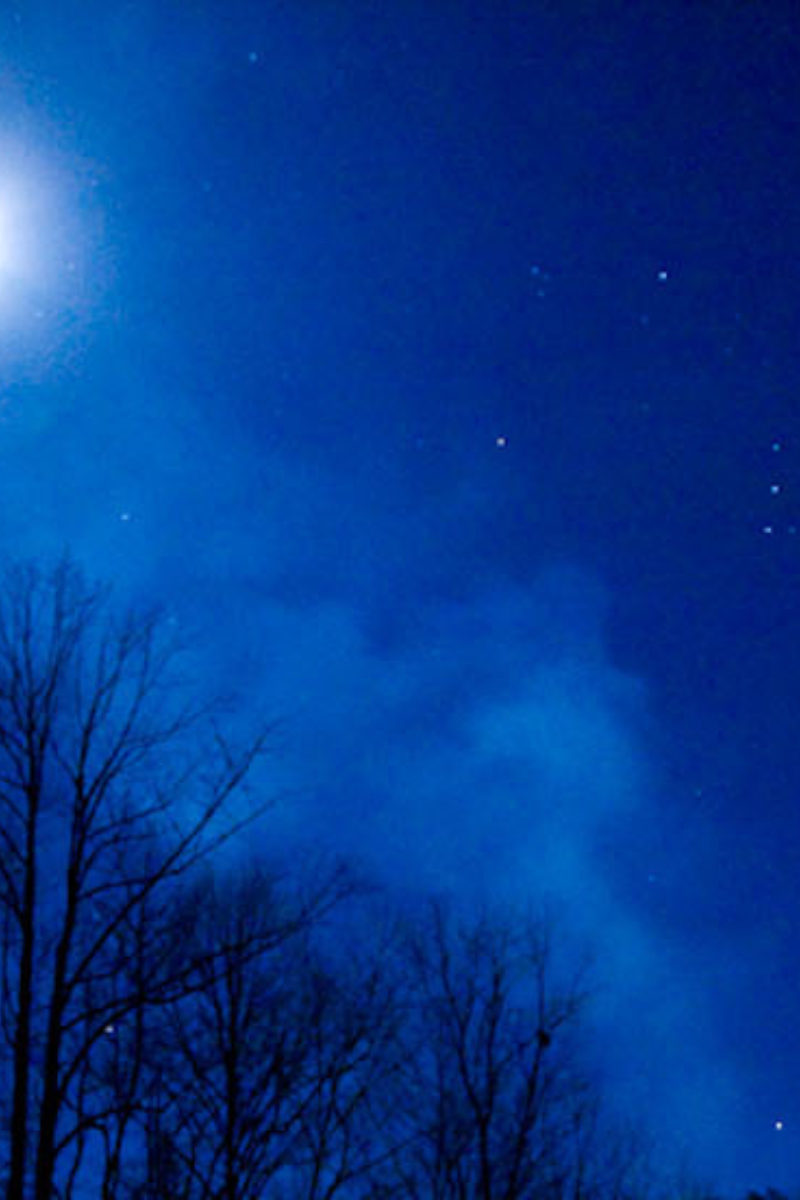 Fireflies at Elkmont
