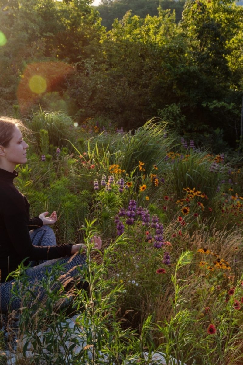 Why You Should Try Meditating Outside
