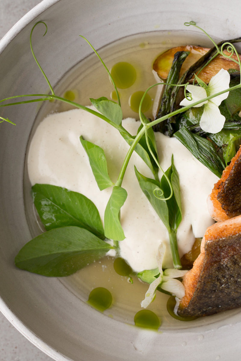 Sunburst Trout