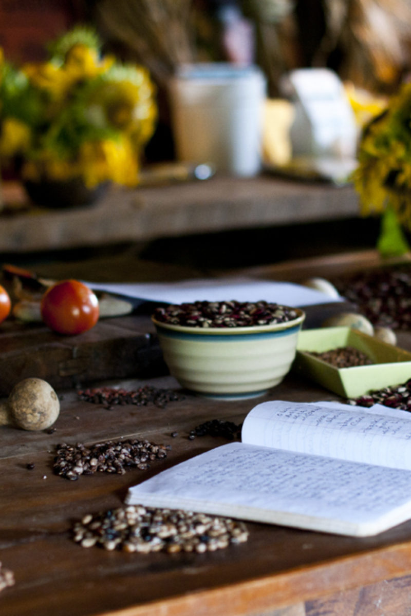 Searching for the Past