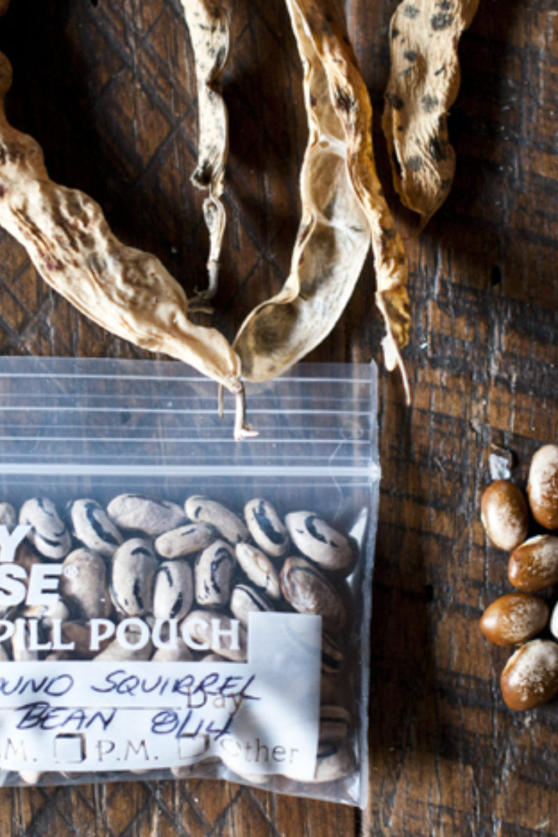 Seed Time at Blackberry Farm