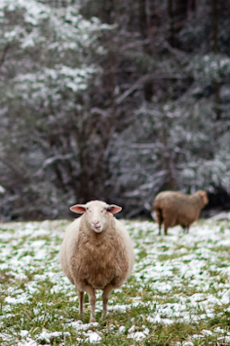 What we Love about February