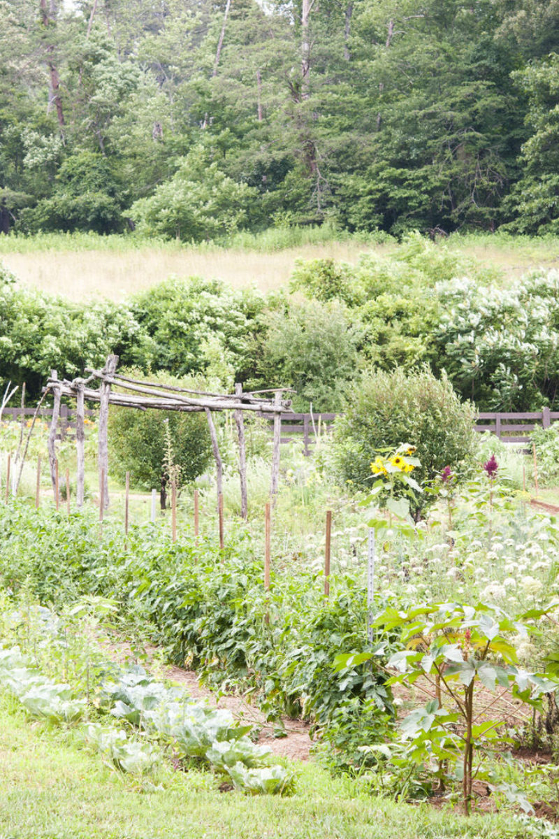 Six Summer Activities on the Farm