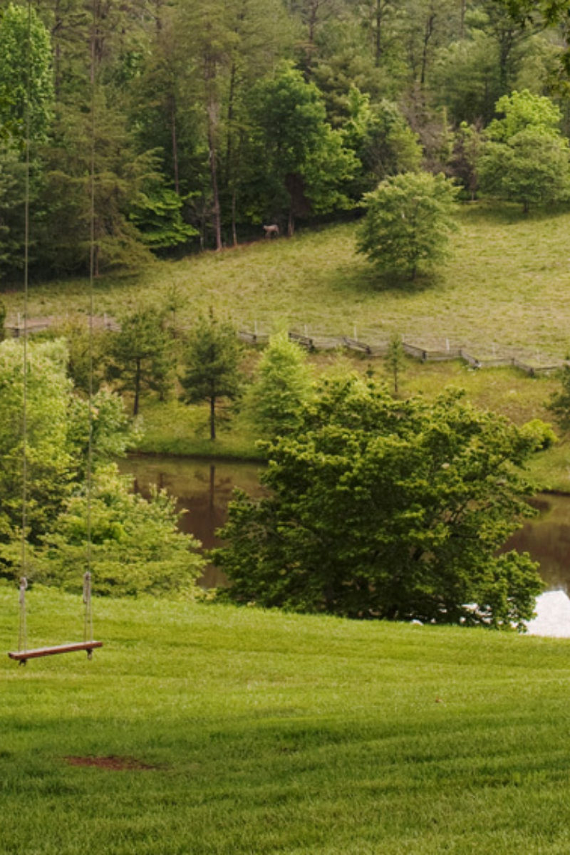 Blackberry Bucket List for May