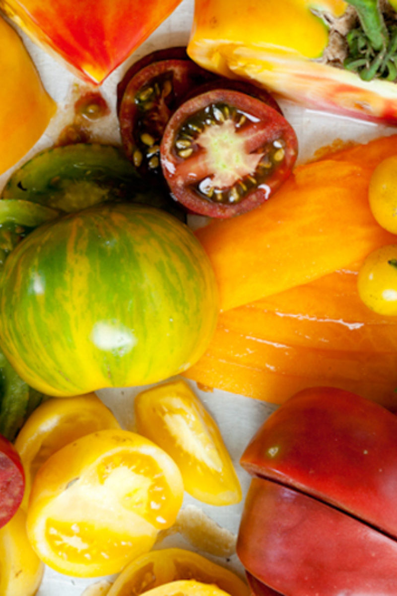 Garden Month Activities