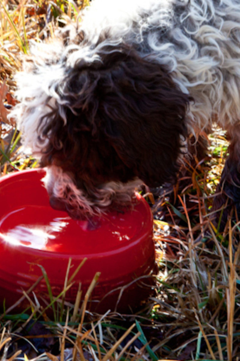Le Creuset Kitchen Sessions with Garden Manager Jeff Ross